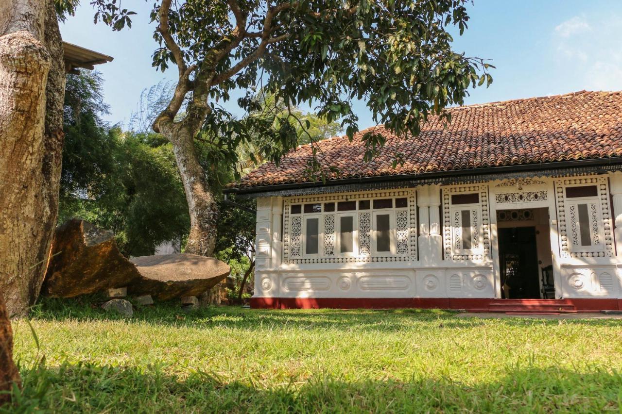 Villa Rosa Blanca Galle Extérieur photo